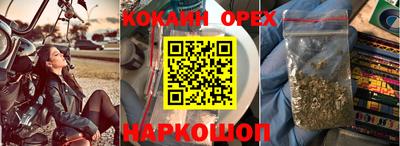 сатива Гусиноозёрск